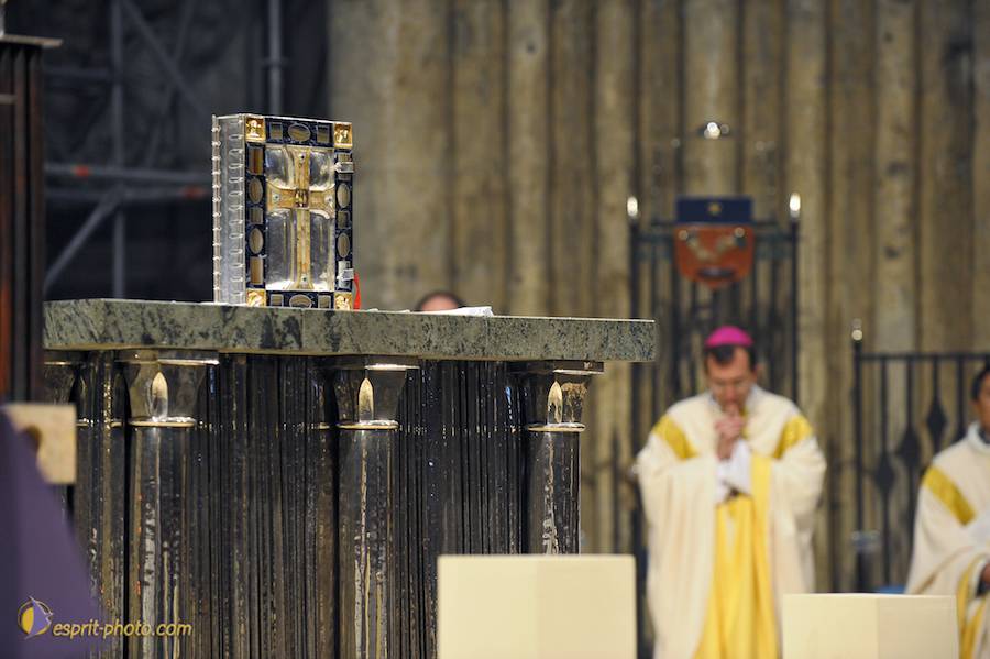 Nom de l'image : D30050215_1_(c)Norbert-JUNG — Description :